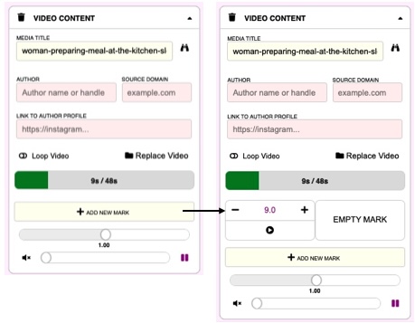 Video Controls in the Content Zone